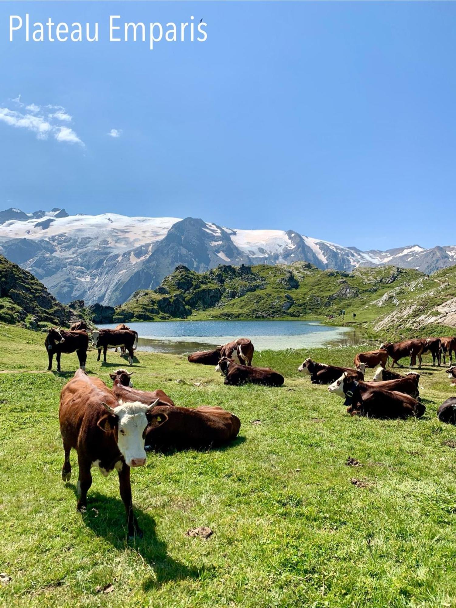 Le Dune Logement Le Bourg-dʼOisans Exterior foto